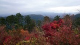 20141130高尾山06